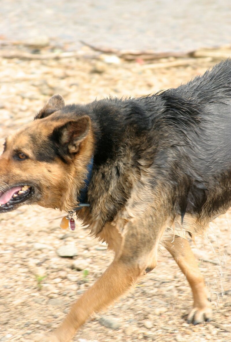 Арина, 23 года, 1 размер груди
